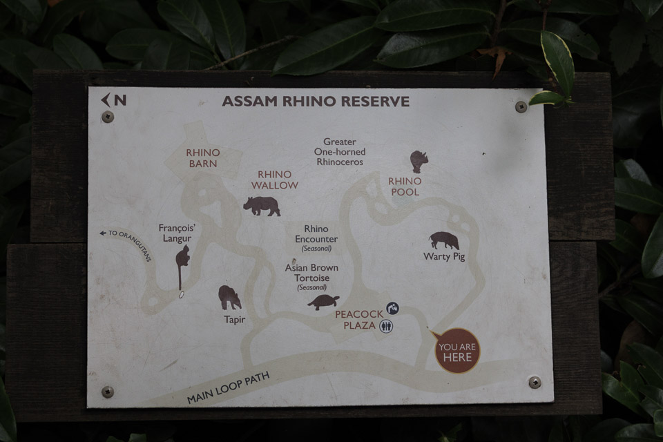 Woodland Park Zoo — photo 71